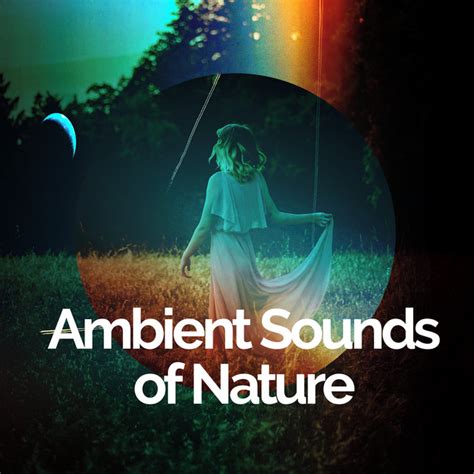 Ambient Sounds Of Nature Ep By Mediation Sounds Of Nature Spotify