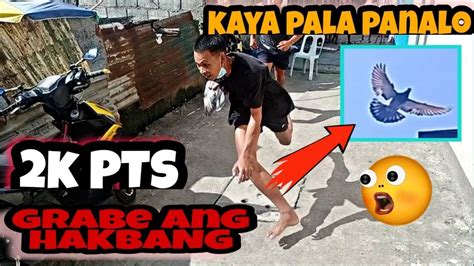 KARERA NG KALAPATI PHILIPPINES PIGEON STREET RACE HALIMAW SA PAG