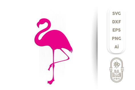 Flamingo SVG , Pink Flamingo Silhouette SVG