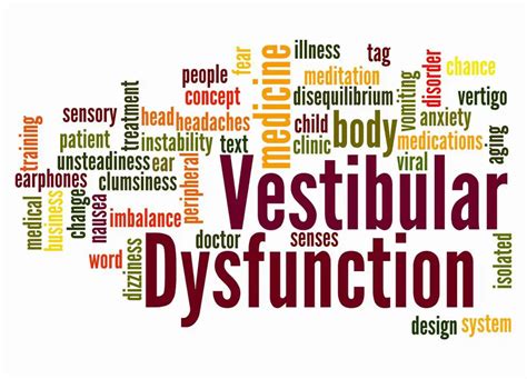 Vestibular System Function and Dysfunction - Dr. Kim Bell, DPT