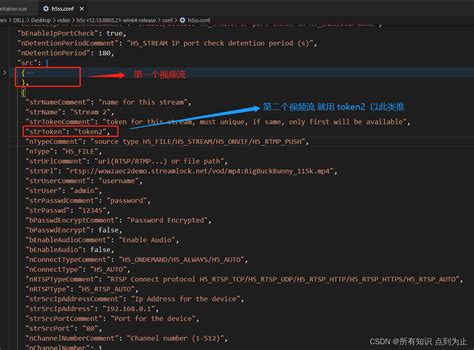 H Stream Rtsp Vue Csdn