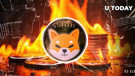 Shiba Inu SHIB Burn Rate Skyrockets 1 323 As Price Tackles Key