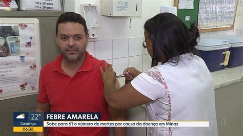 Governo De Minas Confirma 61 Mortes Por Febre Amarela Bom Dia Minas G1