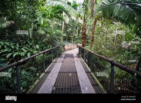 Rainforest Biome Eden Project Stock Photo Alamy