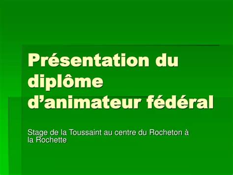 Ppt Pr Sentation Du Dipl Me Danimateur F D Ral Powerpoint