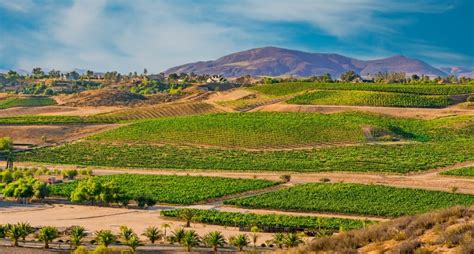 14 amazing Temecula Wineries you MUST visit if you are a Wine Lover