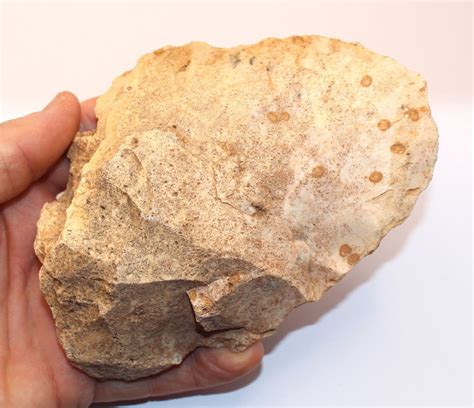 Paleolithic Early Human Hand Axe Sahara Desert Find 130mm Long