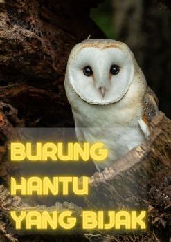 Burung Hantu Yang Bijak Nilamskdls Flip PDF AnyFlip