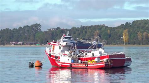 Pescadores de la región de Los Lagos no podrán operar en región de