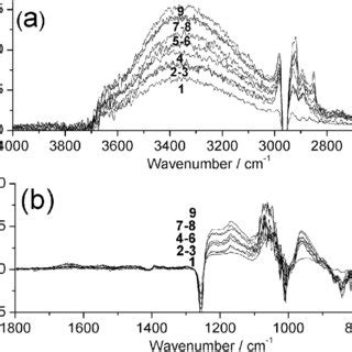 ATR FTIR Difference Spectra Of Base Catalyzed TEOS Modified PDMS With