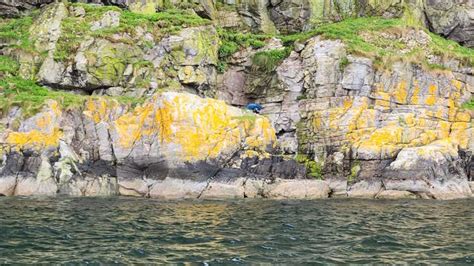 Man Rescued After 24 Hours Stuck On Remote Cliff In The Scottish