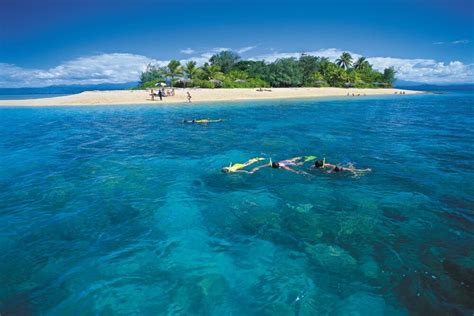 The Great Barrier Reef Cairns Attractions Mid City Cairns