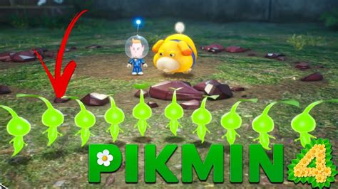 FIRST Night Expedition In Pikmin 4 Sun Speckled Terrace AT NIGHT