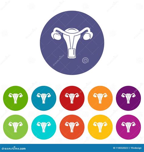 Color Fijado Iconos Femeninos Del Vector Del órgano Reproductivo