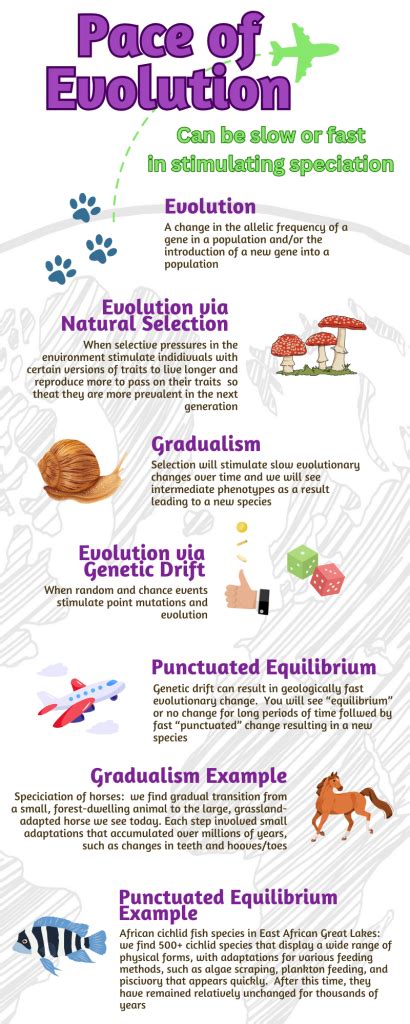 Pace of Evolution – Introductory Biology: Ecology, Evolution, and ...