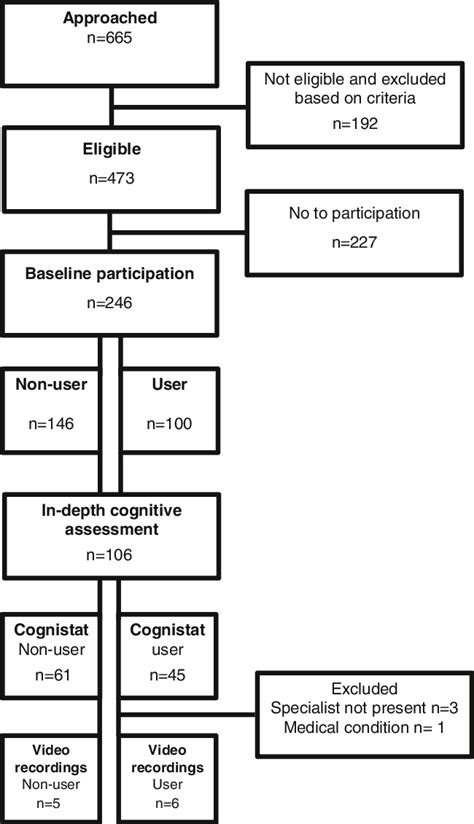 Study Participation Flow Chart At Baseline And In Depth Sample For