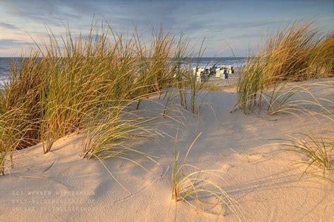 sylt bilder kaufenshop sylt bildergalerie