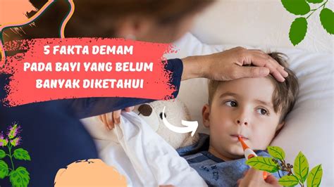 5 Fakta Demam Pada Bayi Yang Mungkin Belum Kamu Ketahui Youtube