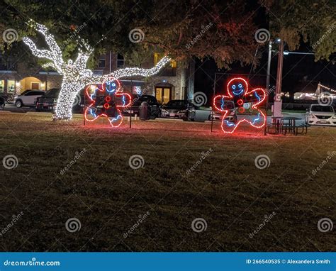 Park at Christmas stock image. Image of lighting, night - 266540535