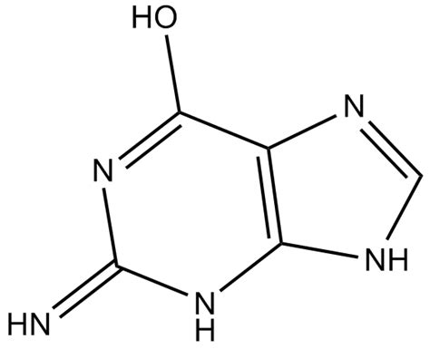 Guanine Nucleic Acids Component Cas No73 40 5 Glpbio