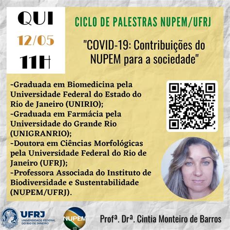 Ciclo De Palestras Nupem Ufrj Portal De Eventos