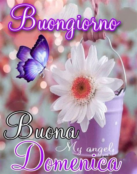 Pin Di Alba Su Buona Domenica Nel Auguri Di Buongiorno