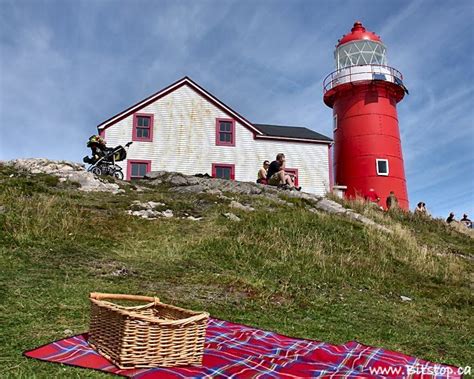 Bitstop: Ferryland Lighthouse Picnics