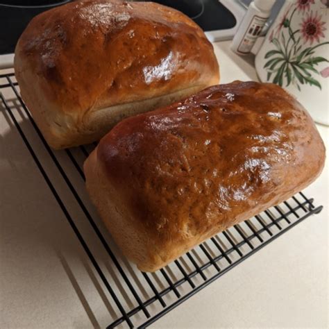 San Francisco Sourdough Bread Photos - Allrecipes.com