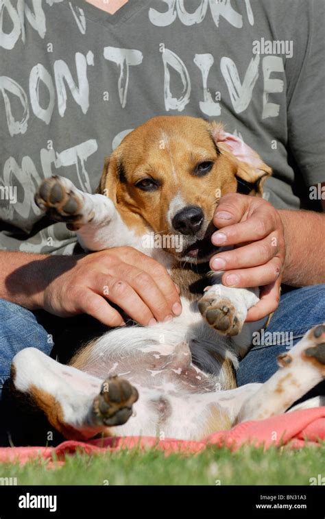 cuddling the dog Stock Photo - Alamy