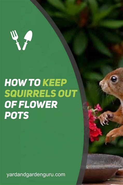 How To Keep Squirrels Out Of Flower Pots