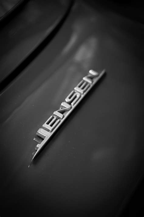 Peta Jensen Photos, Download The BEST Free Peta Jensen Stock Photos