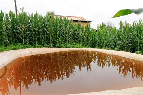 Rainwater Harvesting Methods; Technology; Advantages | Agri Farming