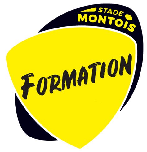 Cfa Stade Montois