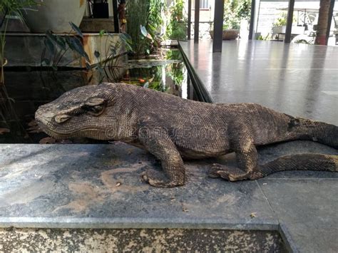 Big Wooden Lizard Stock Photo Image Of Welcoming Reptile 191192988