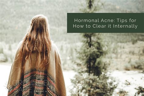 Hormonal Acne Tips For How To Clear It Internally Grounded Sage