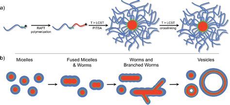 Figure 1 From Polymerization Induced Thermal Self Assembly PITSA