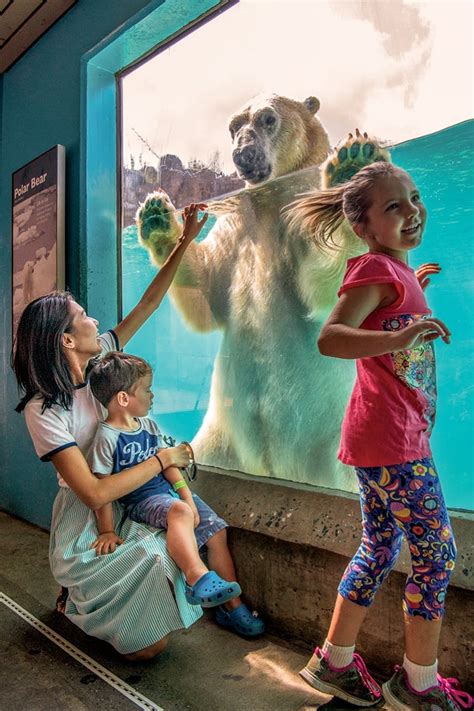 14 Ways To Enjoy The North Carolina Zoo Charlotte Parent