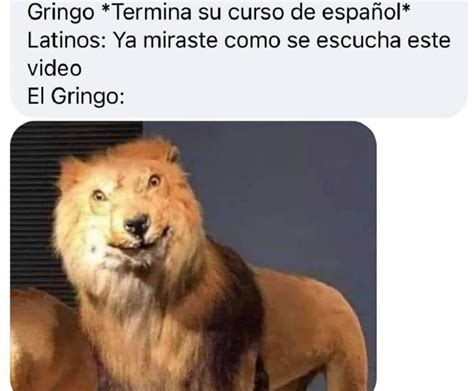 Ya Están Aquí Los 10 Memes Más Virales Y Divertidos Que Nos Regaló El