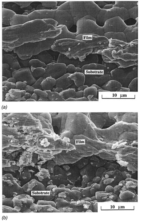 SEM Micrographs Of The Scratch Path Of Thick Films Of A Composition