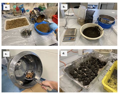 Seed Coating Improves Seed Germination On Landslide Trails