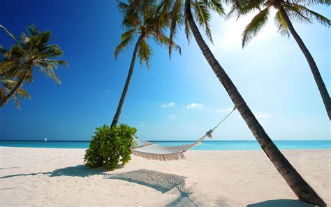 Maldives Paysage De Plage Fonds D Cran Aper U Wallpaper