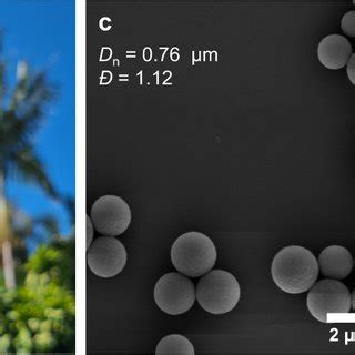 Photopolymerization Reaction Mechanism Photoenolization of ...