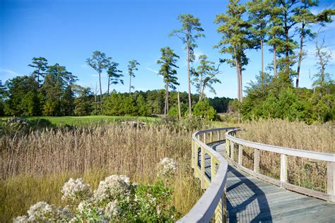 Nature Center and Protected Nature Reserve - The Peninsula