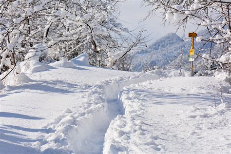 Winterwandelen Ardennen: Ontdek de Prachtige Sneeuwlandschappen