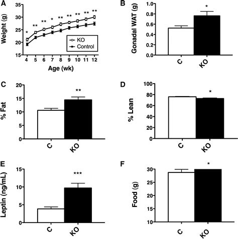 Leptin Action Via Neurotensin Neurons Controls Orexin The Mesolimbic