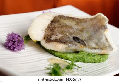 Fine Dining John Dory Fish Fillet Stock Photo 140366479 | Shutterstock