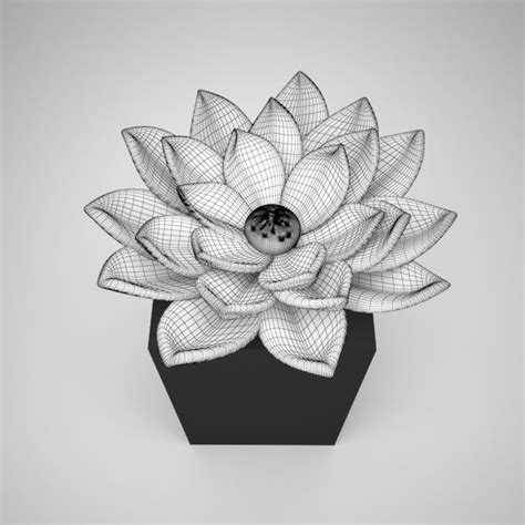 Lotus Flower Free 3d Model Cgtrader