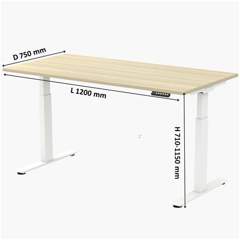 4 ft Ergonomic Height Adjustable Desk | Ergonomic Table