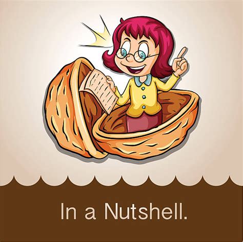 Nutshell Clip Art Vector Images And Illustrations Istock