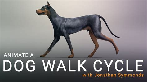 Dog Walk Cycle Animation